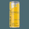 ENERGÉTICO RED BULL TROPICAL EDITION 250ML